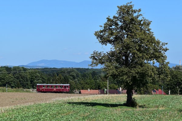  Mimořádně v neděli, na Kojetínské hody 2019, vyrazil na tovačovskou trať "Hurvínek" M131.1454, který je na snímku zachycen u Kojetína 18.8.2019. 